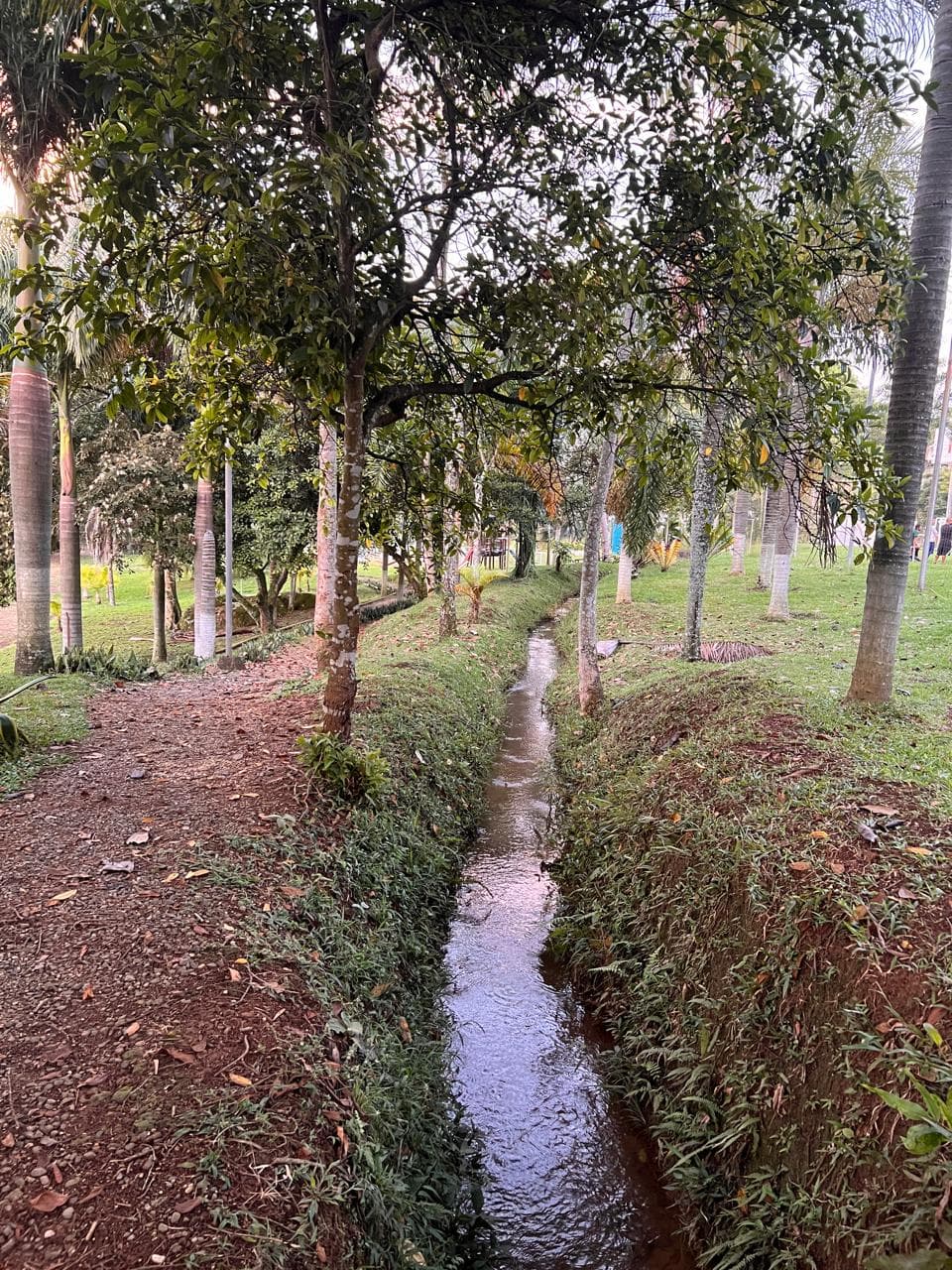 Lote en Reserva Río Claro – Jamundí — foto 3